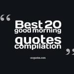 leaf fluttered in through the window this morning