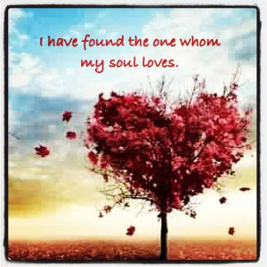 soul mate :)