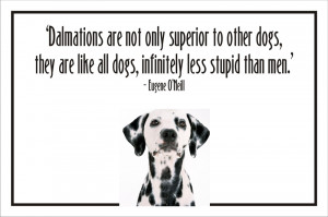 ... to other dogs they are like all dogs infinitely less stupid than men