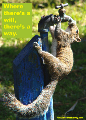 Perseverance Quotes - Persistence Quotes