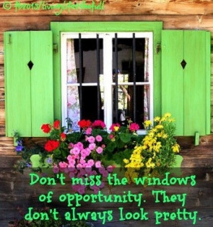 Don't miss windows of opportunities
