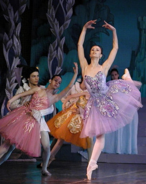 Moscow Ballet ....Russian Nutcracker