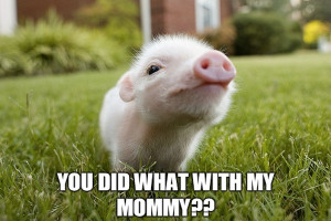 ... Animals & Nature 4 Great Reasons Why Humans Should Stop Eating Pigs