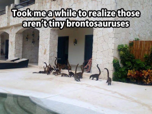 funny cats look like dinosaurs