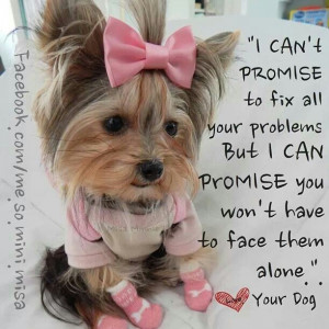 Via Dana DeAngelo-Mallalieu