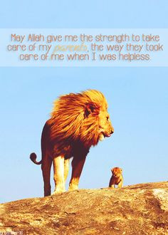 The importance of parents in islam More