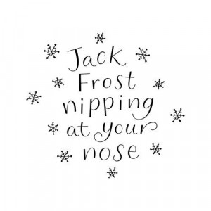 Jack Frost Nipping at your Nose