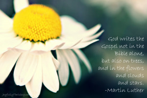 God Writes the Gospel Quote by Martin Luther