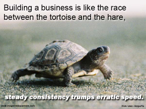 Building a business is like the race between the tortoise and the hare ...