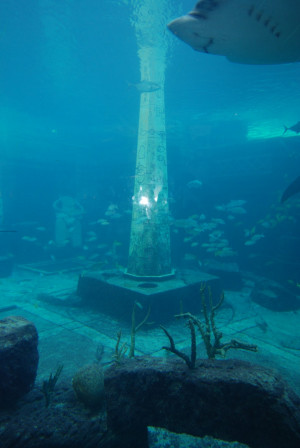 Lost City Atlantis May Have...