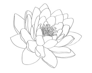 Water Lily Tattoo Design by selective-universe