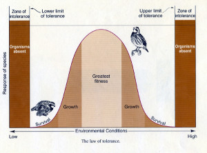 Tolerance Is An Attitude Of Reasoned ...