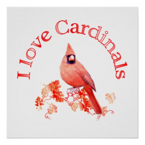 Love Cardinals Poster
