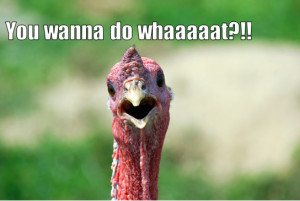 Funny Thanksgiving Quotes: Presenting the USDA's Top 5 List
