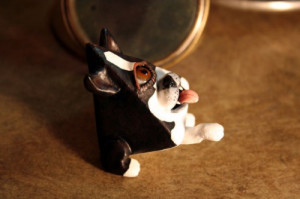 Seeing Eye Miniature Horses