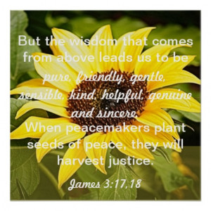 seeds of peace bible verse James 3:17-18 Posters