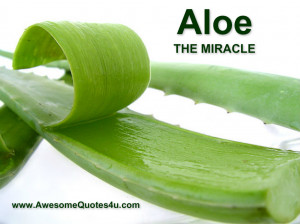 The aloe vera miracle: A natural medicine for cancer, cholesterol ...
