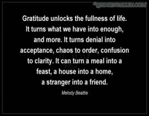 gratitude gratitude attitudeofgratitud google search gratitude quotes ...