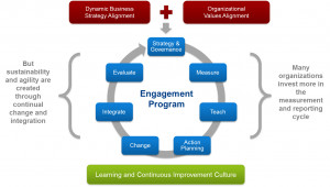Continuous Improvement Cycle