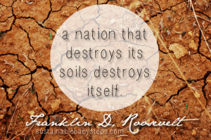 roosevelt-soil.png