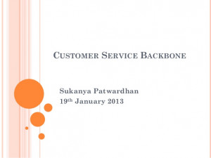 Customer service backbone