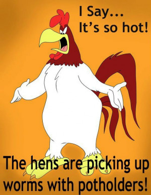 Go Back > Gallery For > Foghorn Leghorn Quotes Medication