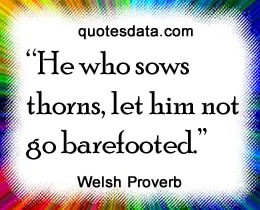 Picture Popular Welsh proverbs >>More....