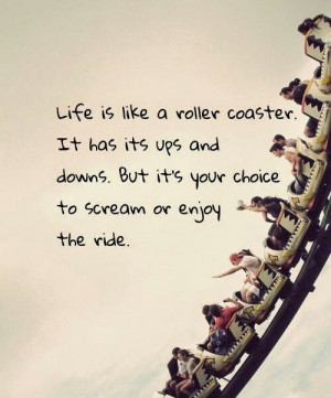 roller coasters