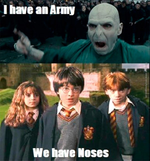 funny-pics-harry-potter-vs-voldemort