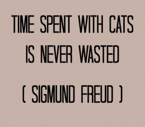 Boho’s Best Bits – Best Quotes