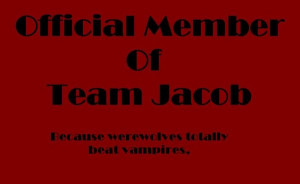 ... am i kidding team edward vs team jacob all out war have fun with that