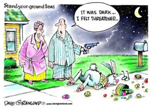Stand your ground' law