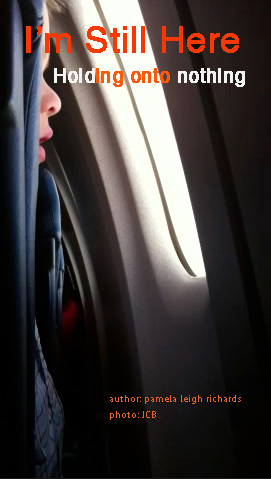 Boy looking out window plane pamela quote