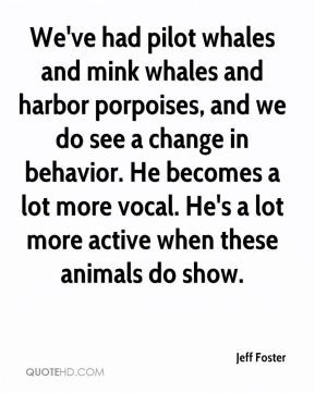 We 39 ve had pilot whales and mink whales and harbor porpoises and we ...