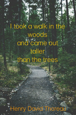 ... in the Woods and came out Taller than the Trees. ~Henry David Thoreau
