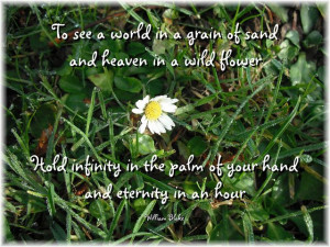 in a grain of sand and a heaven in a wild flower by Spiritual Quotes ...
