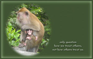 Only question how we treat others, not how others treat us.