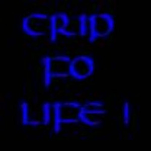 Funny Quotes Contact Us DMCA Notice