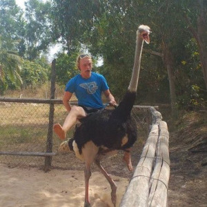 Majestic gentleman riding an ostrich…