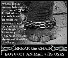 BREAK the CHAIN. BOYCOTT ANIMAL CIRCUSES. CIRCUS SHOULD BE ONLY CLOWNS ...