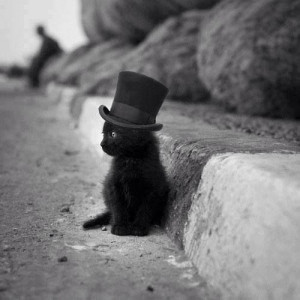 black kitty with top hat... :) How could anyone think that black cats ...