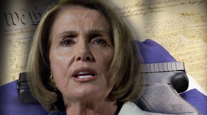 ... About Gun Rights Vs Gun Control Is A Huge Setback For Pelosi & Company
