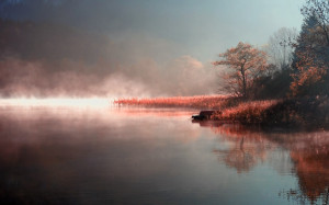 Morning mist at the lake wallpaper