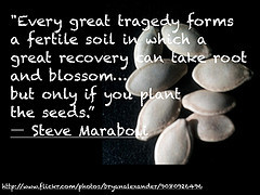 Quote Steve Maraboli Tragedy, Recovery, and Blossom