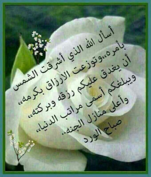 صباح الورد: Good Morning, Arabic Quotes, صباح الورد