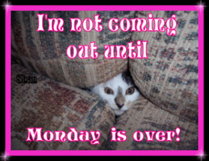 More Monday Morning Migraine Blues!