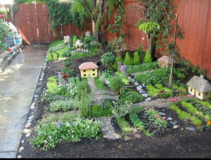 Combined herb and fairy garden. Possibility...