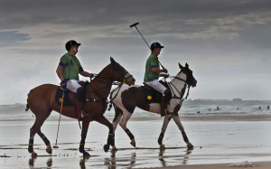 Polo at Watergate Bay Horse sense is the thing a horse has which