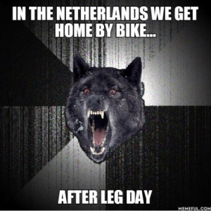Leg Day In The Netherlands