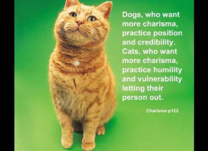 To be charismatic: dogs practice position and credibility; cats ...